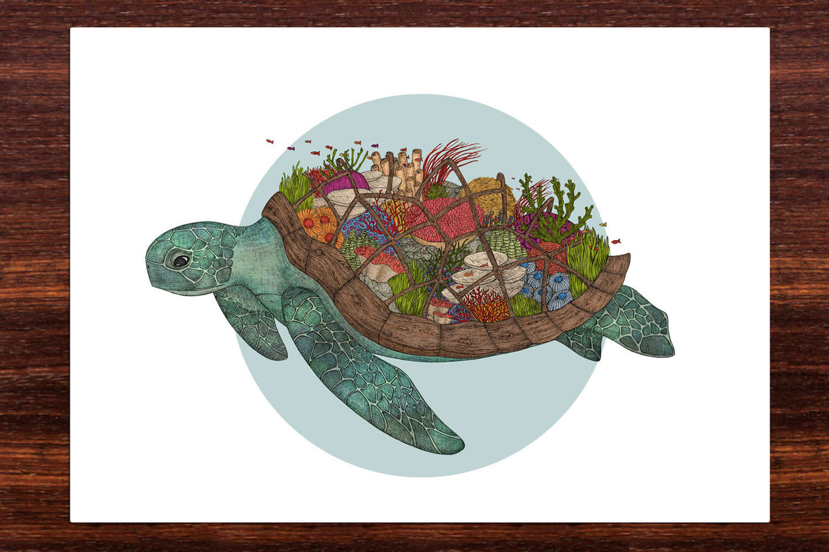 Colourful turtle artwork